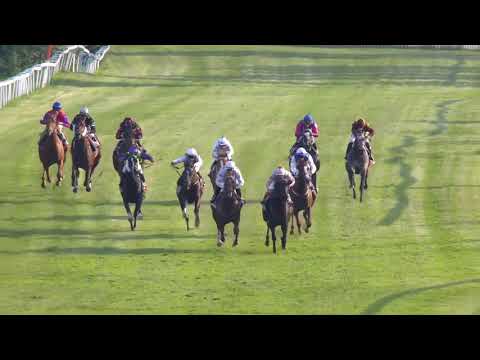 2020.06.27 Norsk 2000 Guineas - Nordic