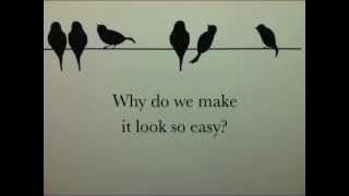 Birds on a Wire - Hawk in Paris