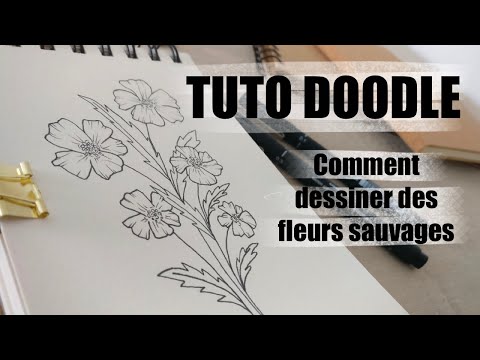 TUTO DESSIN DOODLE | Comment dessiner une fleur sauvage