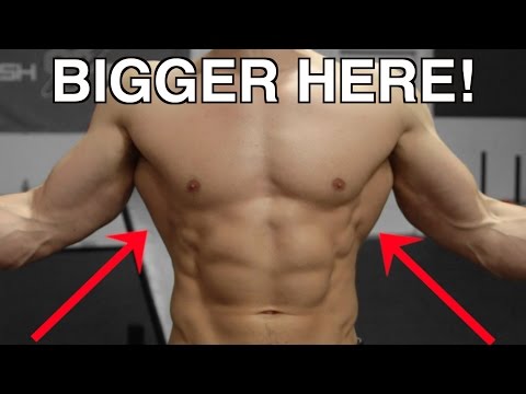 Muscular Strenght Title