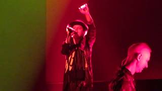 Michael Patrick Kelly / Renegade