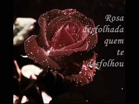 Sou Filha Das Ervas - Ana Moura