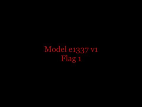 [Hacker101] Model e1337 v1 Flag 1