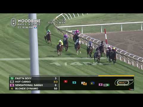 Woodbine, Tbred, September 17, 2022 Race 5