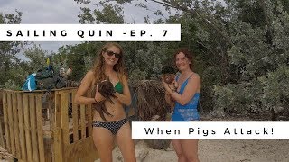 Ep. 7: Sailing Quin - When Pigs Attack!
