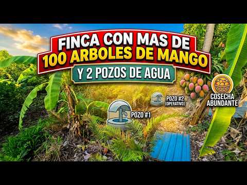 FINCA DE ARBOLES FRUTALES EN VENTA EN LAS VENTANAS, EL PAISNAL, SAN SALVADOR!!! SUPER PRECIO!