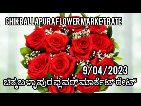 chikballapura flower market rate today/ಚಿಕ್ಕಬಳ್ಳಾಪುರ ಪ್ಲವರ್ ಮಾರ್ಕೆಟ್ ರೇಟ್/9/04/2023