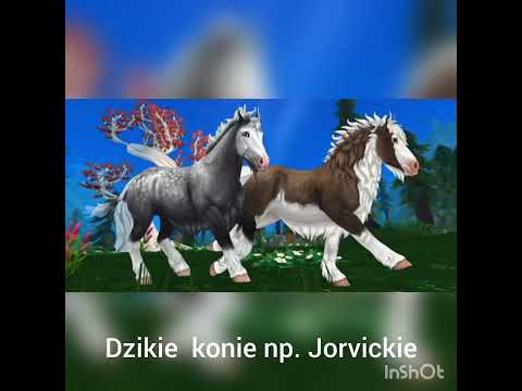 , title : 'konie w sso vs konie w realnym życiu / porównanie ras koni :)'