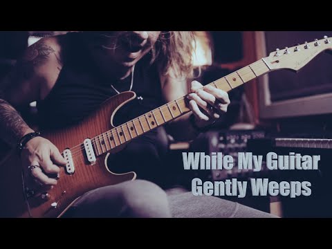 Igor Paspalj - Improvisation over "While My Guitar Gently Weeps"