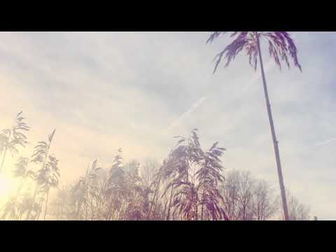 download lagu mp3 mp4 Ane Brun Hero, download lagu Ane Brun Hero gratis, unduh video klip Ane Brun Hero