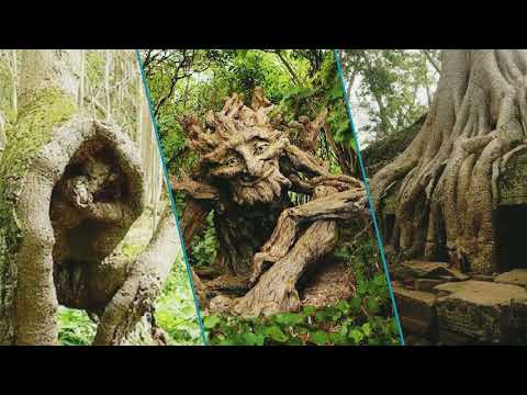 Gran Bwa Haitian voodoo song