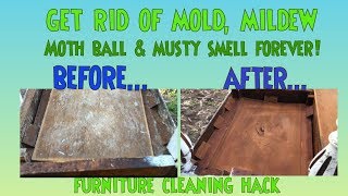 Remove Mold & Mildew from Furniture DIY Hack  *Stop The Stink Mold, Mildew, Musty, Moth Balls Hack