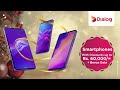 Dialog Year End Bonanza