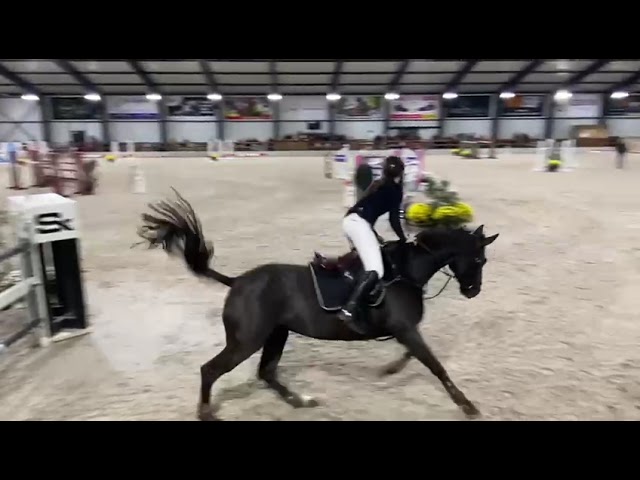 First dam, Nette van Kattebeek