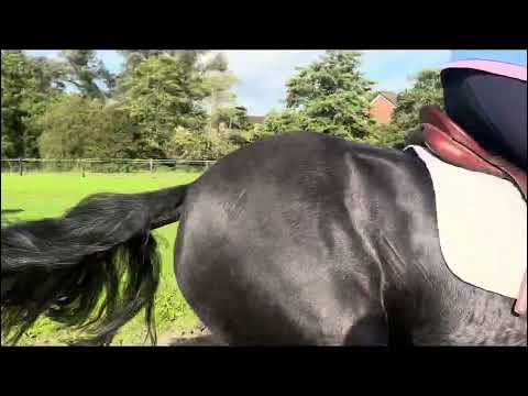 🐴🐴Mary-Jane🐴🐴 - Image 2