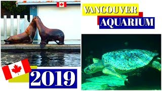 VANCOUVER AQUARIUM TOUR 2019 ~ BC CANADA TRAVEL