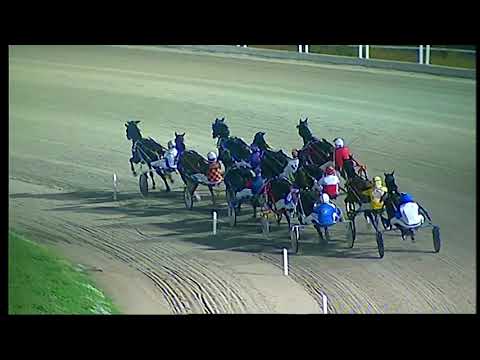 Napoli Trotto 12/11/2021 - 8ª corsa