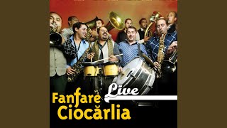 Vivaldi (Live)