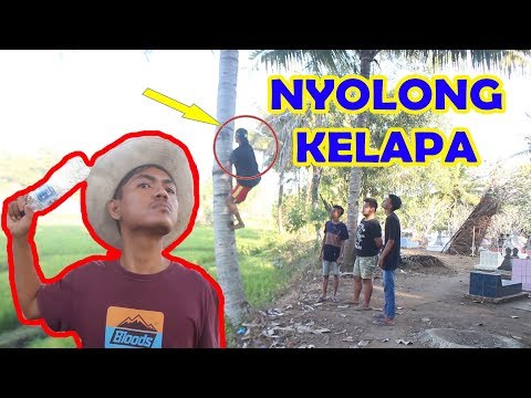 konci-6-komedi-ngapak-cilacap-nyolong-kelapa