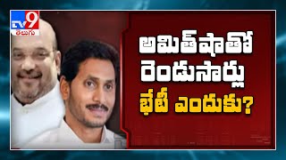 CM YS Jagan delhi tour highlights : అమిత్ షా తో రెండు సార్లు భేటీ ఎందుకు ?