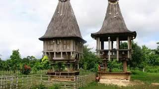 Download lagu MasiOlarinda(Tebe Timor 🇹🇱 nian) mp3