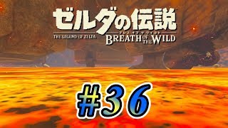 カビキラー大量によこせ  #36【ゼルダの伝説ブレスオブザワイルド実況】