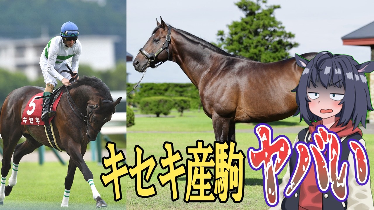 最強牝馬の血筋　キセキ産駒がかなりまずい