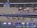 2007 Breeders Crown Elim 2 - Mare Trot