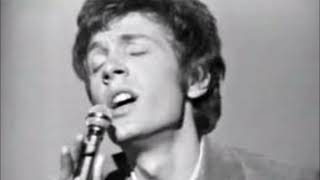 Scott Walker - Loss of Love (theme from Sunflower)