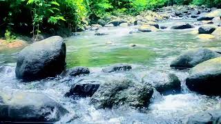 River Sounds vs White Noise Which Helps You Sleep Better