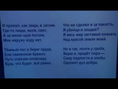 Что? Где? Когда? Вопрос о загнанном звере