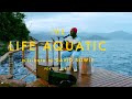 Seu Jorge The Life Aquatic David Bowie Tribute