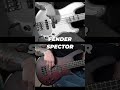 Fender Vs Spector