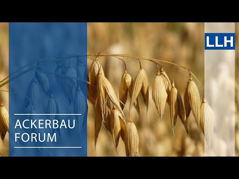 Agriculture Forum - Oats, an old crop with new ideas