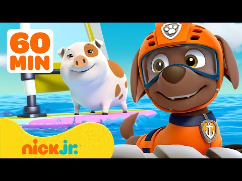 PAW Patrol Zuma’s Sea Rescues & Adventures! w/ Ryder 🐬 60 Minute Compilation | Nick Jr.