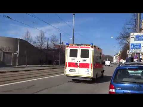 💚 [3] DERBY 1860 München II - FC Bayern München II Grünwalder Stadion | Einsatzfahrten