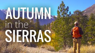 Fall in the Sierras in 4K | Parker Lake Near Ansel Adams and Yosemite Parks