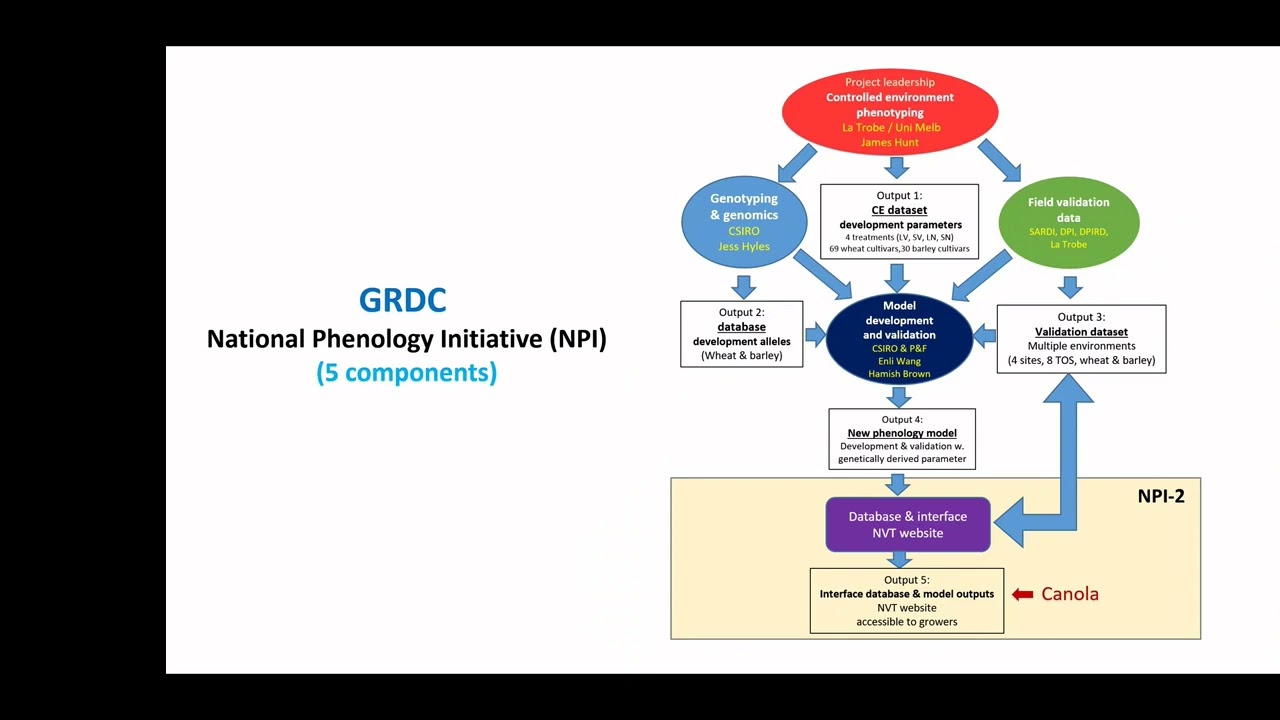 Wheat Phenology - part 1