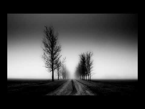 groparul mizantrop, frateleNORD , eugen iustin - dacaarfi