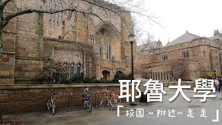 耶鲁大學 Yale University Campus Walking Tour  | College Tour 常春藤大學 漫步￼秋天美麗的校園