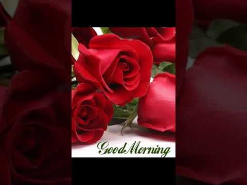 Akhilesh Kumar good morning video