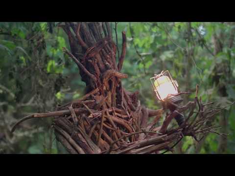 Wilde Möhre 2020 Teaser I