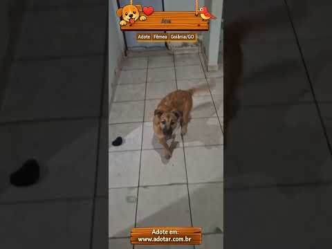 Vídeo de Ana