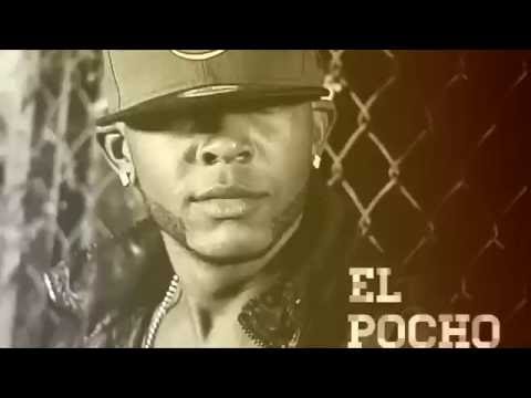 El Pocho Eres Fenomenal ( Audio Official ) 2016