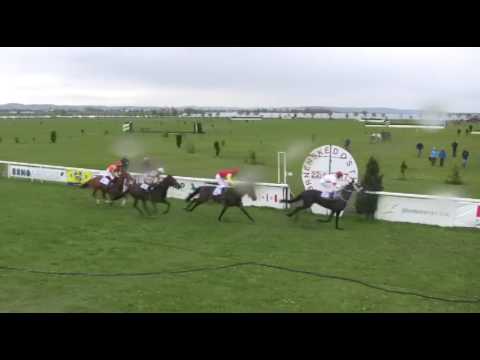 Dostihy Brno-Dvorska 22.4.2017 3.dostih