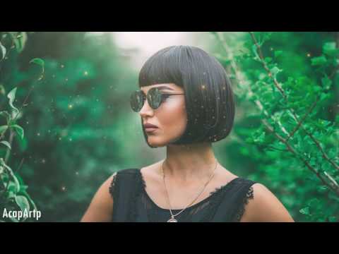 DJ Tiësto Ft Ken Block  -  Fly Dubai