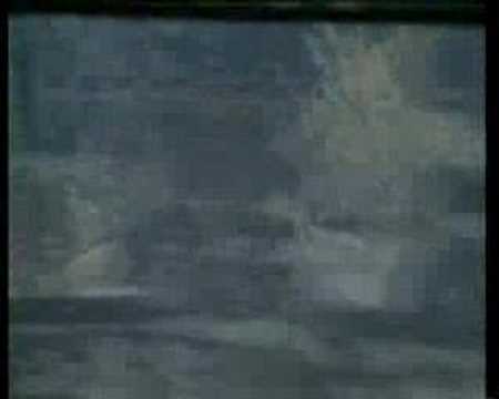 P. Nagy a J. Raz - Psi sa brania utokom