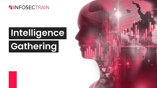 Intelligence Gathering for Cybersecurity!  Advanced Penetration Testing | Intelligence Gathering |