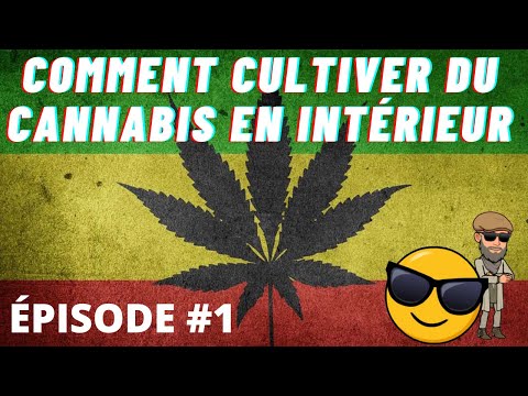 , title : '🌱 GERMINATION:Comment faire pousser du cannabis en intérieur- Épisode 1/5  #cannabiculture'