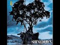 Shinedown - Stranger Inside